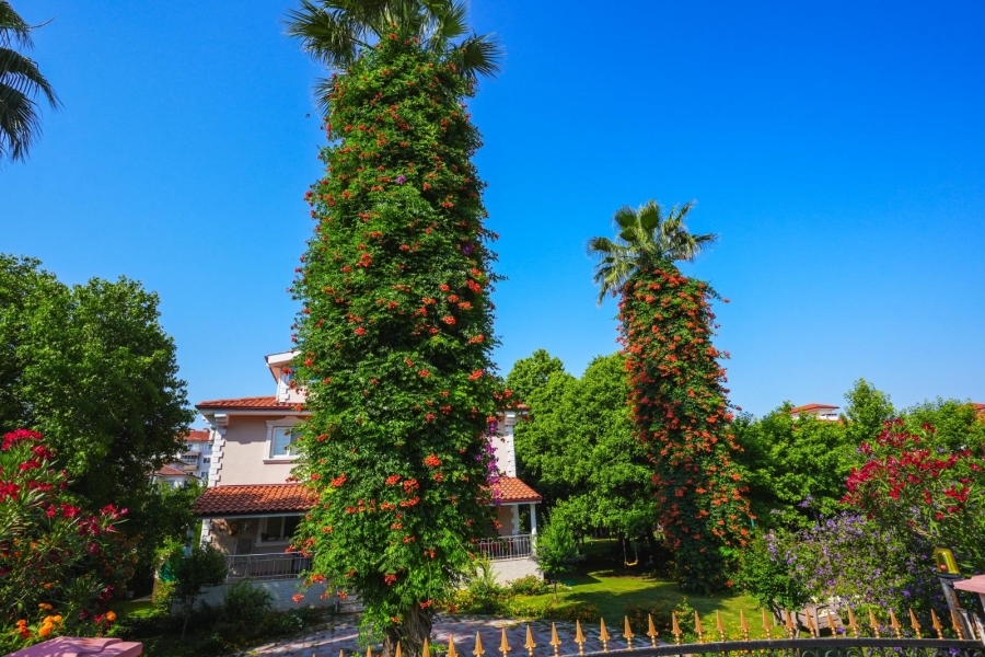 Villa Sığla